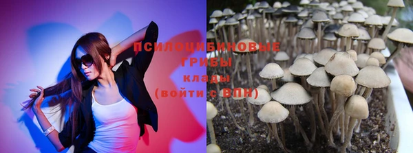 jwh Новозыбков