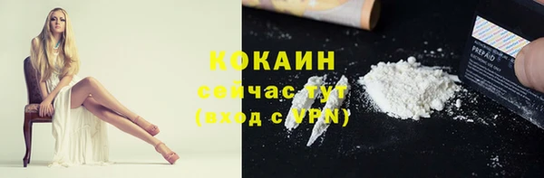 стаф Абаза