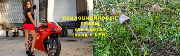 ГАЛЛЮЦИНОГЕННЫЕ ГРИБЫ Абдулино