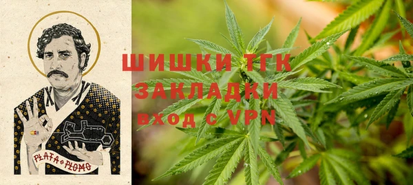 молекула духа Новодвинск