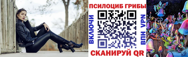 продажа наркотиков Холмск Псилоцибиновые грибы Cubensis