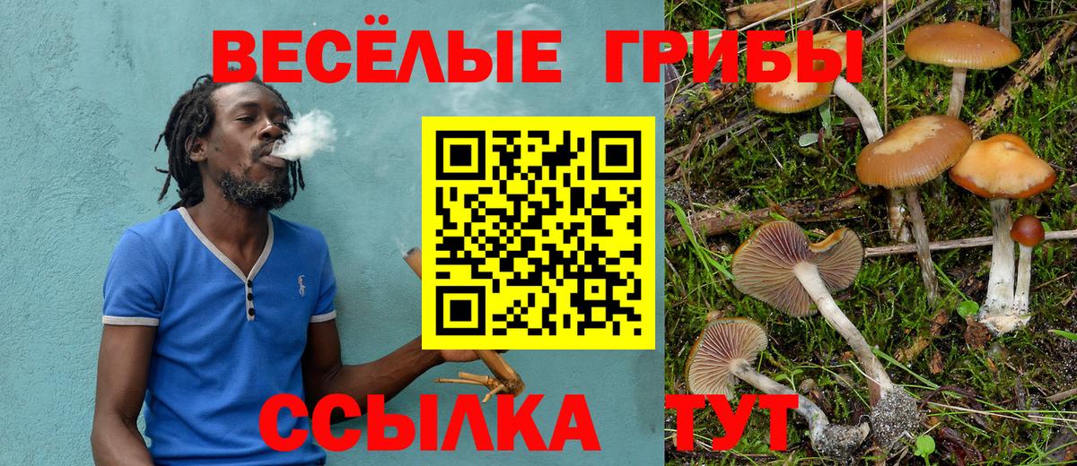 Галлюциногенные грибы MAGIC MUSHROOMS  Вход с VPN  магазин    Холмск 